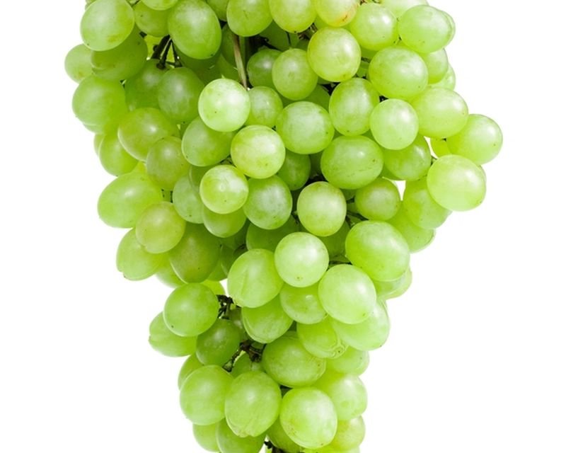 Grapes